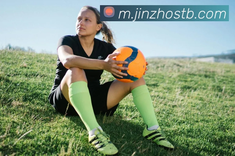 企业概况